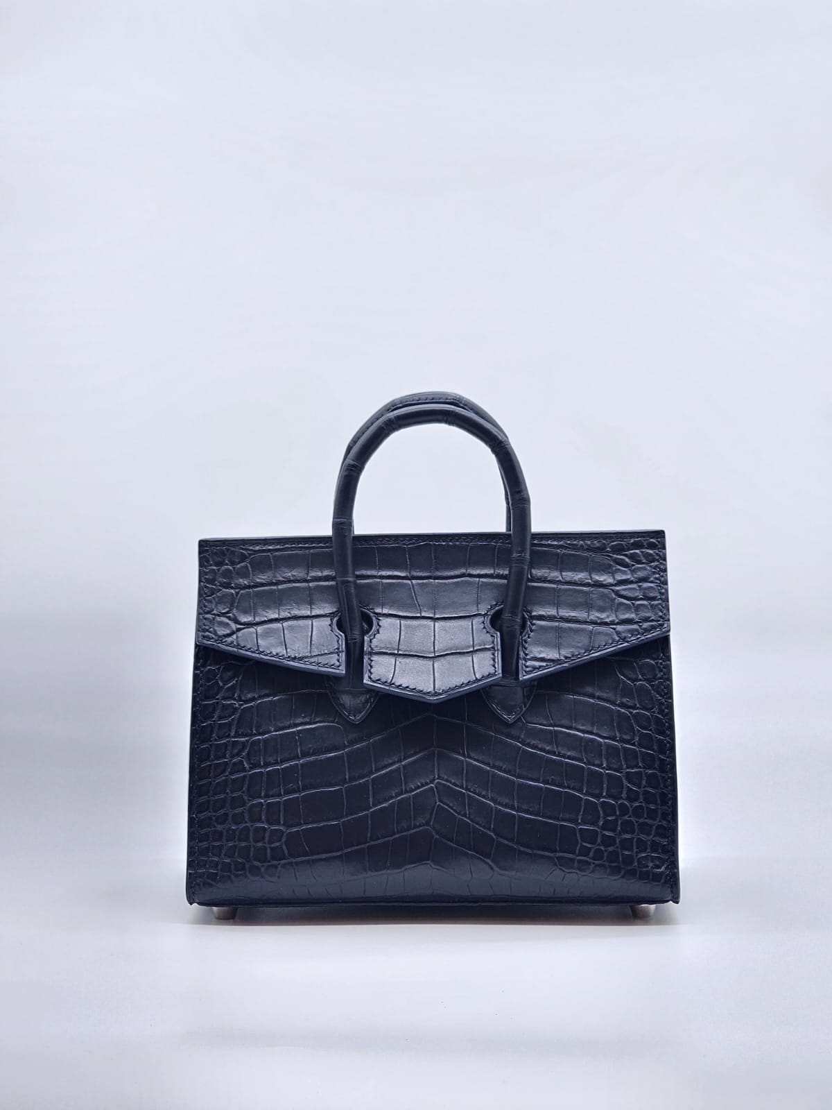 AMEERA Crocodile