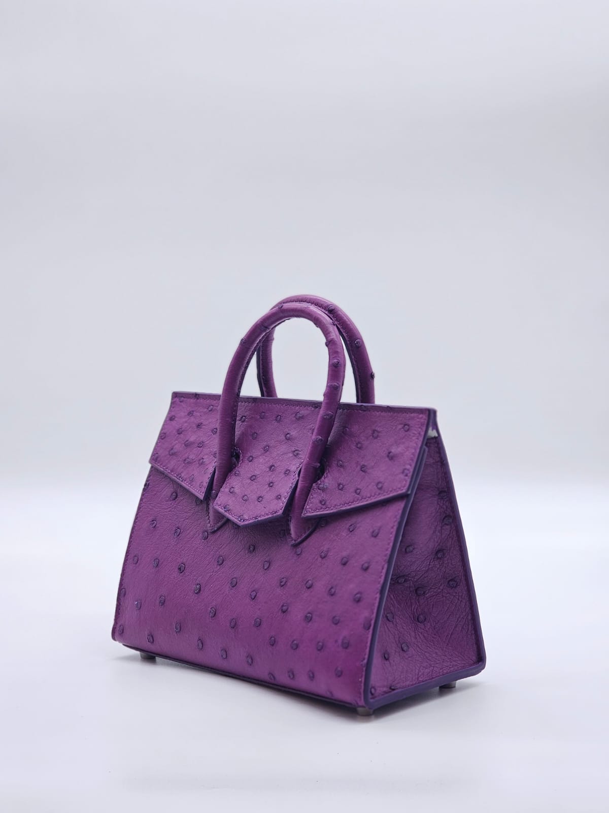 AMEERA OSTRICH